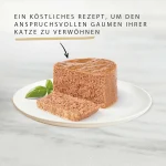 کنسرو گربه بالغ گورمت گلد طعم بوقلمون مدل پته ای وزن 85 گرم Purina Gourmet Gold Pate - Image 3