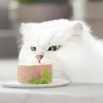 کنسرو گربه بالغ گورمت گلد طعم بوقلمون مدل پته ای وزن 85 گرم Purina Gourmet Gold Pate - Image 4