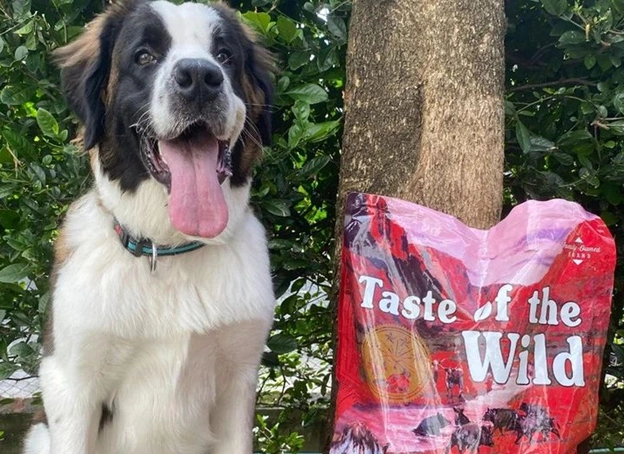 غذا خشک سگ بالغ تیست آف دواید طعم گراز وحشی و گوشت گاو و بره