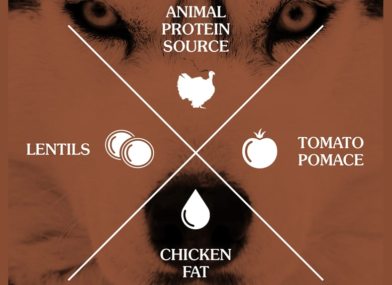 غذا خشک سگ بالغ تیست آف دواید طعم بوقلمون مناسب سگ های حساس