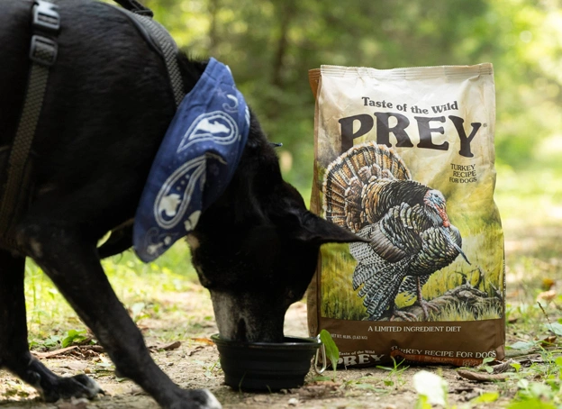 غذا خشک سگ بالغ تیست آف دواید طعم بوقلمون مناسب سگ های حساس