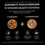 غذا خشک بچه گربه پروپلن طعم مرغ مدل کیتن وزن 1/5 کیلوگرم - بسته بندی اورجینال وارداتی با ارسال رایگان - Image 2