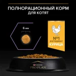 غذا خشک بچه گربه پروپلن طعم مرغ مدل کیتن وزن 1/5 کیلوگرم - بسته بندی اورجینال وارداتی با ارسال رایگان - Image 7
