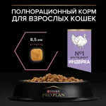 غذا خشک گربه بالغ پروپلن با معده حساس طعم بوقلمون مدل دلیکیت دایجسشن وزن 10 کیلوگرم - بسته بندی اورجینال وارداتی با ارسال رایگان - تصویر 2