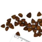 غذای خشک سگ بالغ مونژه مدل رنال اگزالات برای مشکلات کلیوی