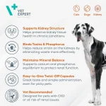 کپسول مکمل سگ و گربه وت اکسپرت برای پشتیبانی بیماری مزمن کلیه 60 عددی  Vet Expert RenalVet - Image 3