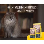 غذای خشک گربه بالغ جوسرا طعم اردک و سیب زمینی مدل کتلوکس وزن 1 کیلوگرم (زیپ کیپ فله) Catelux Josera - Image 4