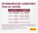 غذای خشک بچه گربه جوسرا کیتن وزن 10 کیلوگرم Josera Kitten - Image 4