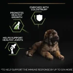 غذای خشک سگ بالغ نژاد بزرگ پروپلن مدل لارج ادالت طعم مرغ وزن 14 کیلوگرم Proplan Large Robust Adult - Image 3