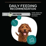 غذای خشک سگ بالغ نژاد بزرگ پروپلن مدل لارج ادالت طعم مرغ وزن 14 کیلوگرم Proplan Large Robust Adult - Image 4