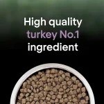 غذا خشک بچه گربه پروپلن طعم بوقلمون مدل کیتن آلرژی وزن 1/4 کیلوگرم - بسته بندی اورجینال وارداتی با ارسال رایگان - تصویر 5