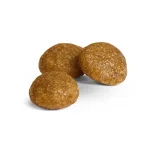 غذا خشک سگ بالغ نژاد خیلی کوچک رویال کنین (تا 4 کیلوگرم) طعم مرغ مدل ایکس اسمال