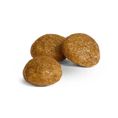 غذا خشک سگ بالغ نژاد خیلی کوچک رویال کنین (تا 4 کیلوگرم) طعم مرغ مدل ایکس اسمال