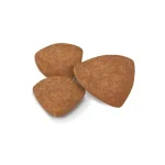 غذای خشک توله سگ نژاد کوچک رویال کنین طعم مرغ مدل پاپی وزن 1 کیلوگرم (فله) Royal Canin Mini Puppy - Image 2