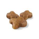 غذا خشک بچه گربه رویال کنین طعم مرغ مدل کیتن