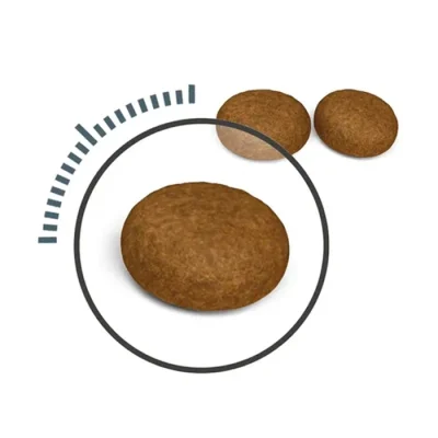 غذا خشک گربه بالغ رویال کنین حمایت از پوست و مو طعم مرغ مدل هیر اند اسکین