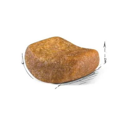 غذا خشک گربه بالغ رویال کنین نژاد بریتیش مو کوتاه طعم مرغ