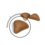 غذا خشک گربه بالغ رویال کنین کاهش گلوله های مویی مدل هیربال