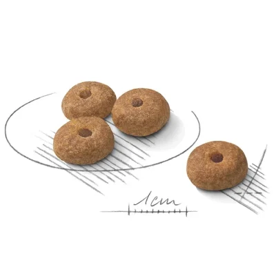 غذا خشک سگ عقیم شده نژاد کوچک رویال کنین طعم مرغ (تا 10 کیلوگرم) مدل استرلایزد