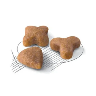 غذا خشک گربه بالغ رویال کنین با مشکلات گوارشی طعم مرغ مدل سنسبیل