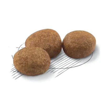 غذا خشک گربه عقیم شده رویال کنین طعم مرغ مدل استرلایزد