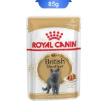 پوچ گربه های بالغ نژاد بریتیش مو کوتاه رویال کنین وزن 85گرم Royal Canin British Shorthair
