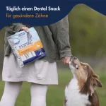 تشویقی سگ بالغ نژاد کوچک دکتر کلادرز طعم اردک مدل دنتال وزن 80 گرم Dr.Clauder's Dental Snack Duck - Image 4