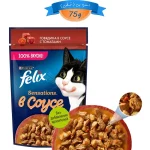 پوچ گربه فلیکس طعم گوشت گاو در سس گوجه فرنگی