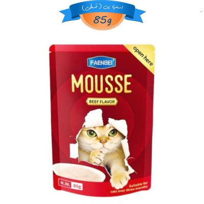 پوچ گربه فنبی مدل موس طعم گوشت 