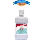 دهانشویه سگ و گربه بایولاین حجم 300 میلی لیتر Bioline Dental Care Water