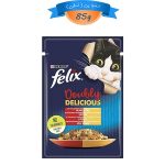 پوچ گربه فلیکس طعم مرغ و گوشت گاو