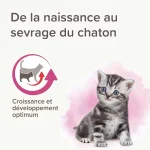 شیر خشک بچه گربه بیفار مدل لاکتول وزن 250 گرم Beaphar Lactol Kitten Milk - Image 2