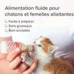 شیر خشک بچه گربه بیفار مدل لاکتول وزن 250 گرم Beaphar Lactol Kitten Milk - Image 6