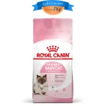 غذای خشک گربه رویال کنین مدل مادر اند بیبی وزن 1 کیلوگرم (زیپ کیپ فله) RoyalCanin Mother & Baby Cat