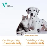 کپسول مکمل سگ و گربه وت اکسپرت برای تقویت سیستم ایمنی بدن 60 عددی  Vet Expert VetoMune - Image 2