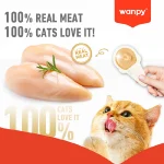 بستنی قاشقی گربه ونپی طعم ماهی سالمون وزن 16 گرم تکی Wanpy Lickable Cream - Image 4