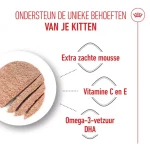 کنسرو گربه مادر و بچه گربه رویال کنین مادر اند بیبی وزن 195 گرم Royal Canin Mother & babycat - Image 6