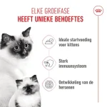 کنسرو گربه مادر و بچه گربه رویال کنین مادر اند بیبی وزن 195 گرم Royal Canin Mother & babycat - Image 2