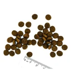 غذای خشک بچه گربه مونژه طعم ماهی قزل آلا مدل کیتن وزن 400 گرم Monge Natural Superpremium Kitten - Image 2