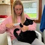 موزر سگ و گربه LED دار شارژی مدل تیگار ابعاد 16x3 سانتی متر - Image 2