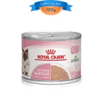 کنسرو گربه مادر و بچه گربه رویال کنین مادر اند بیبی وزن 195 گرم Royal Canin Mother & babycat