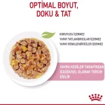 پوچ بچه گربه رویال کنین طعم مرغ در ژله مدل کیتن وزن 85 گرم Royal Canin Kitten in Jelly - Image 4