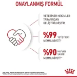 پوچ بچه گربه رویال کنین طعم مرغ در ژله مدل کیتن وزن 85 گرم Royal Canin Kitten in Jelly - Image 5