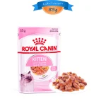 پوچ بچه گربه طعم مرغ در ژله رویال کنین