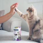 تشویقی گربه بالغ جیم کت طعم اردک وزن 60 گرم GimCat Nutri Pockets - Image 2