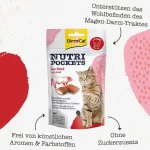 تشویقی گربه بالغ جیم کت طعم گوشت گاو وزن 60 گرم GimCat Nutri Pockets - Image 4
