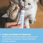خمیر بچه گربه جیم کت کمک به رشد سالم مدل کیتن وزن 50 گرم GimCat Kitten Paste - Image 6