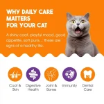 خمیر مولتی ویتامین گربه جیم کت برای تقویت سیستم ایمنی وزن 50 گرم GimCat Multi Vitamin Professional - Image 4