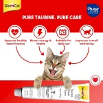 خمیر تائورین گربه جیم کت برای تقویت قلب و بینایی وزن 50 گرم GimCat Taurine Paste Extra - Image 5
