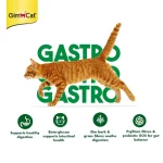 خمیر گربه جیم کت برای دستگاه گوارش حساس مدل گسترو اینتستینال وزن 50 گرم GimCat Gastro Intestinal Digestion - Image 5